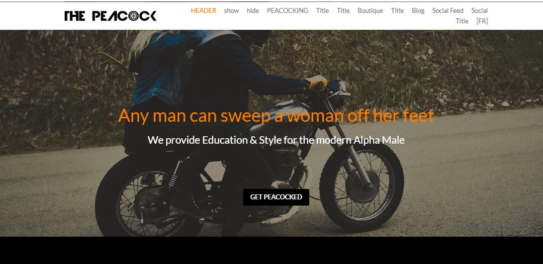 品牌建設策略 品牌建設策略